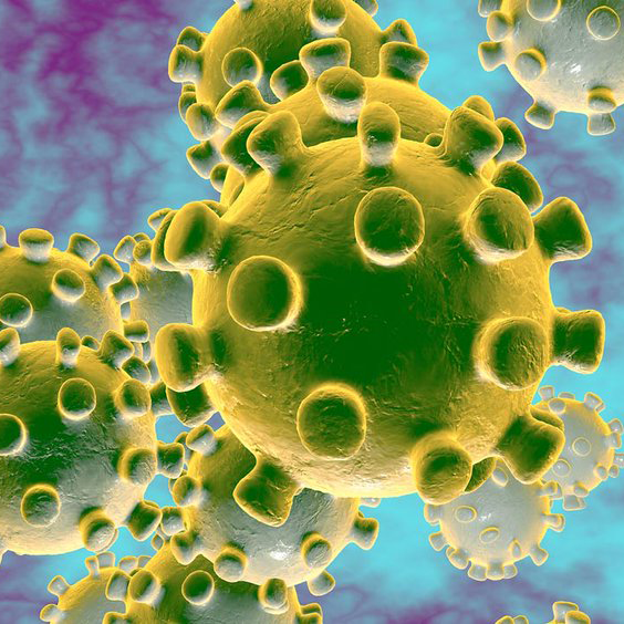 coronavirus1 coronavirus1